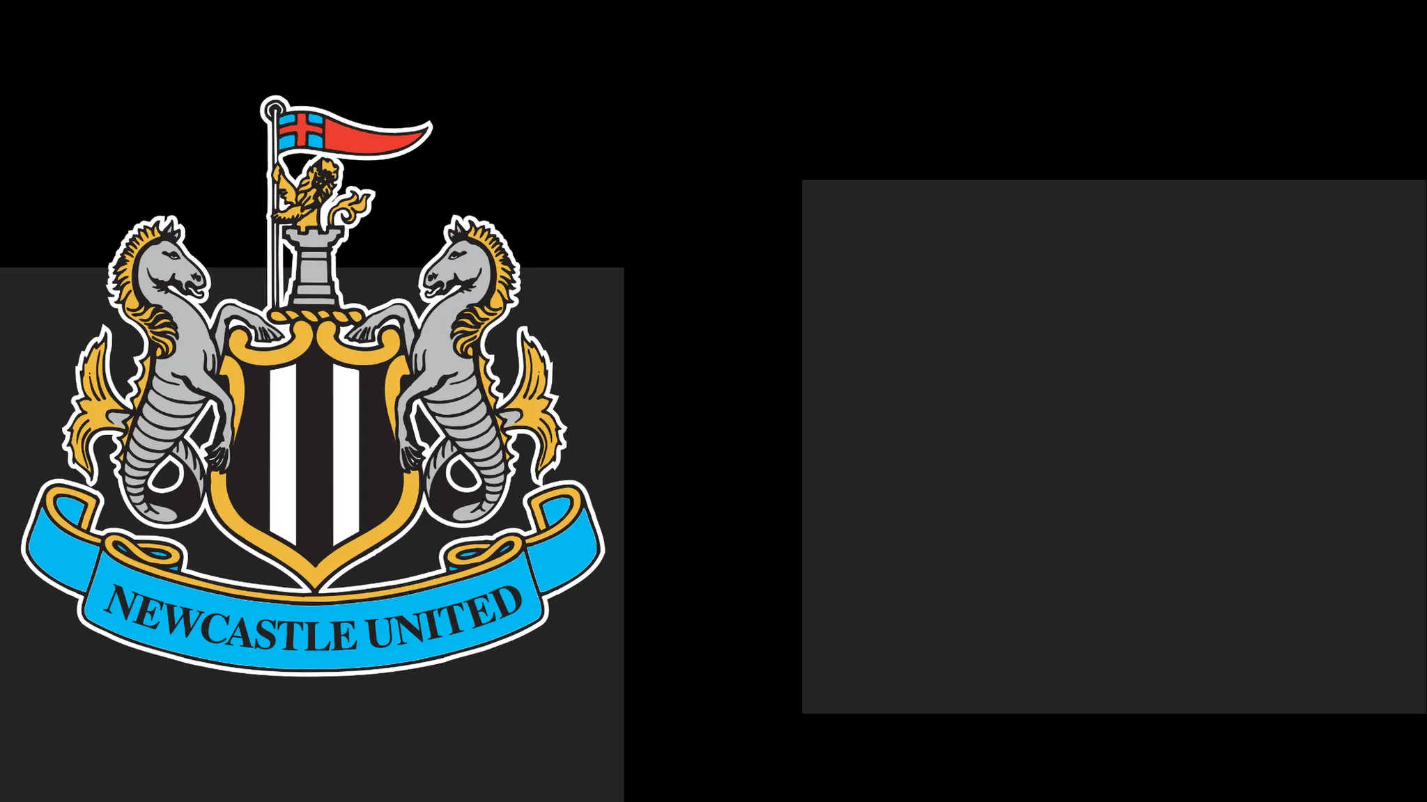 Newcastle's boss Praises Team's Determination – Yet It Only Takes Them This Far